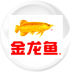 金龙鱼
